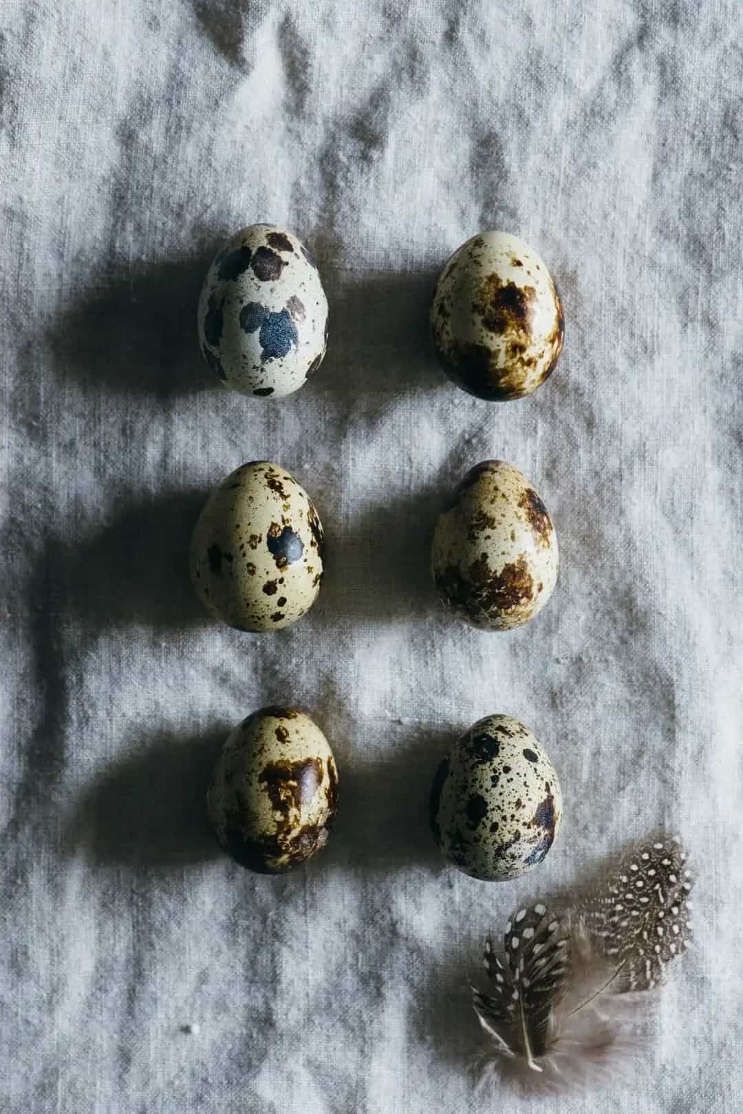 Quail eggs pattern